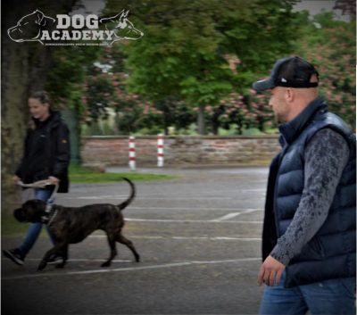Einzeltraining Einzeltraining